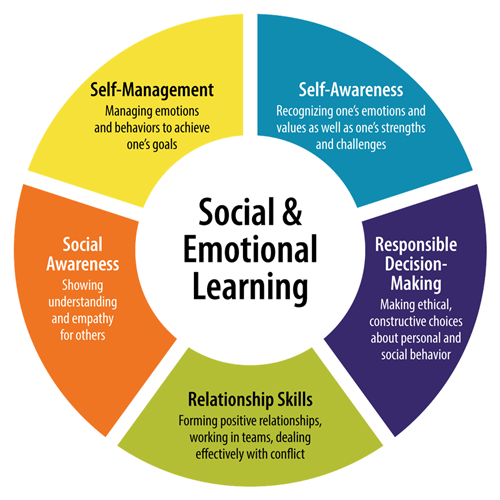 SEL characteristics